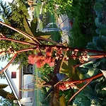 Aux Jardins D'alice Frühstückspension *