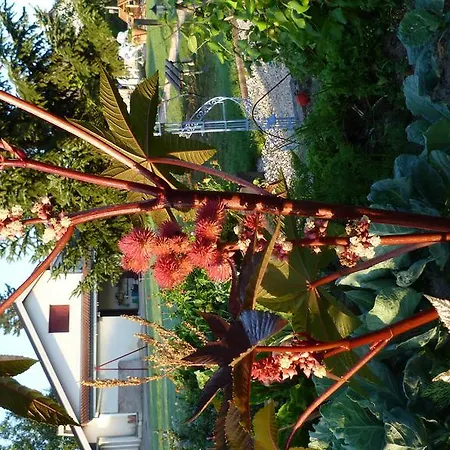 Aux Jardins D'alice Bed & Breakfast *