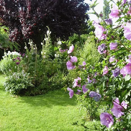 Aux Jardins D'alice 第戎
