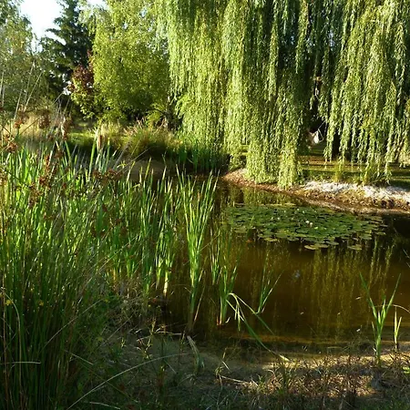 Aux Jardins D'alice *