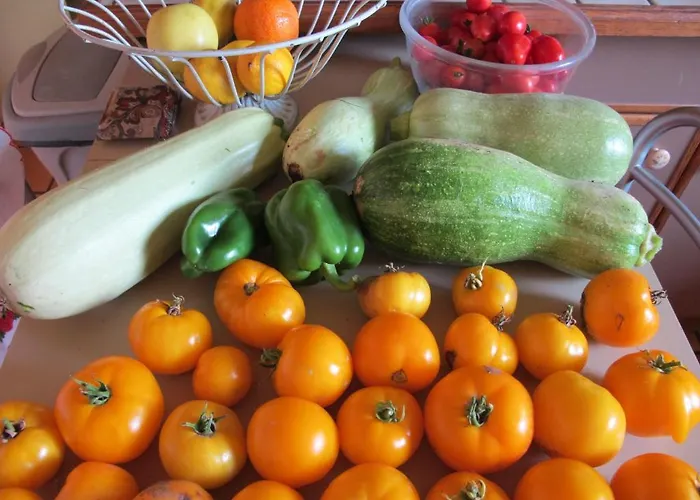 Bed and breakfast Aux Jardins D'alice Dijon