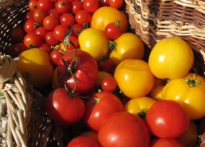 Aux Jardins D'alice Oda ve Kahvaltı *