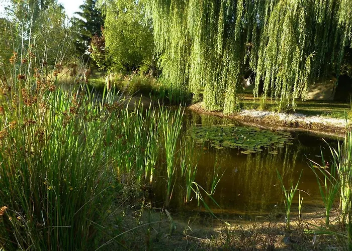Aux Jardins D'alice *